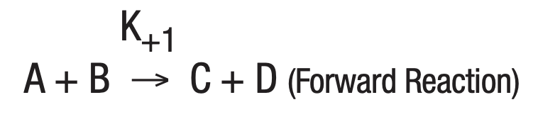 Intro To Enzymes Figure