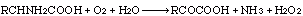  Amino Acid Oxidase, D- Reaction