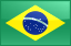 Brazil Flag